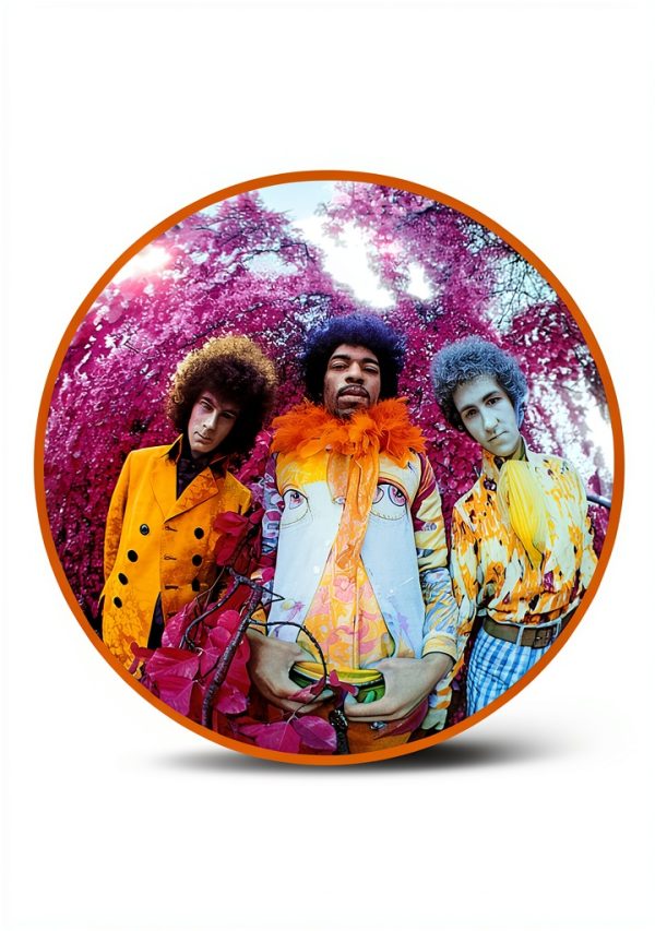 Are You Experienced US Sleeve-0